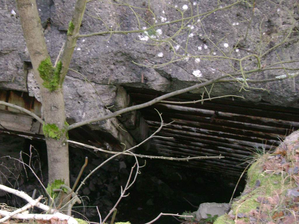Dsc01934.jpg