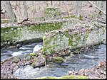 DSCN0184.JPG